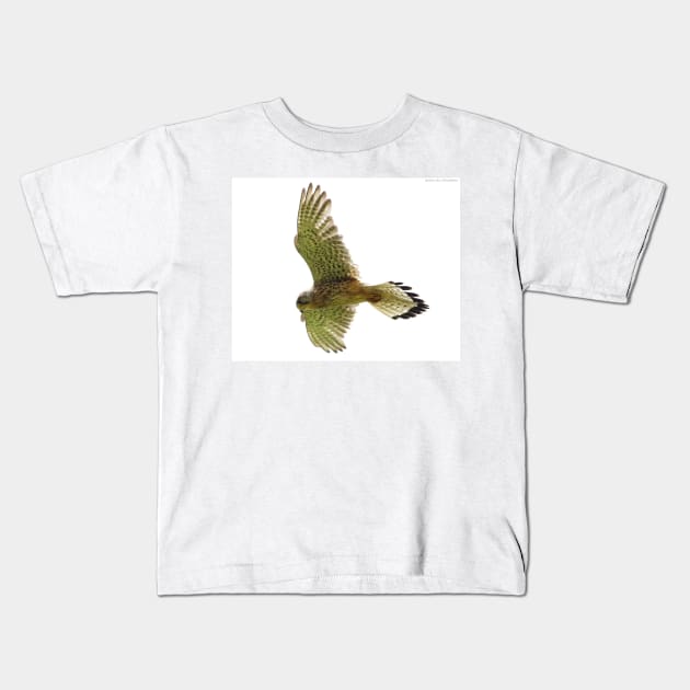 Kestrel in flight Kids T-Shirt by Simon-dell